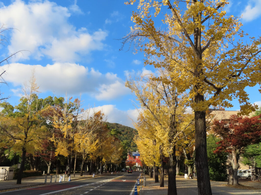 大学3年が秋から始める場合