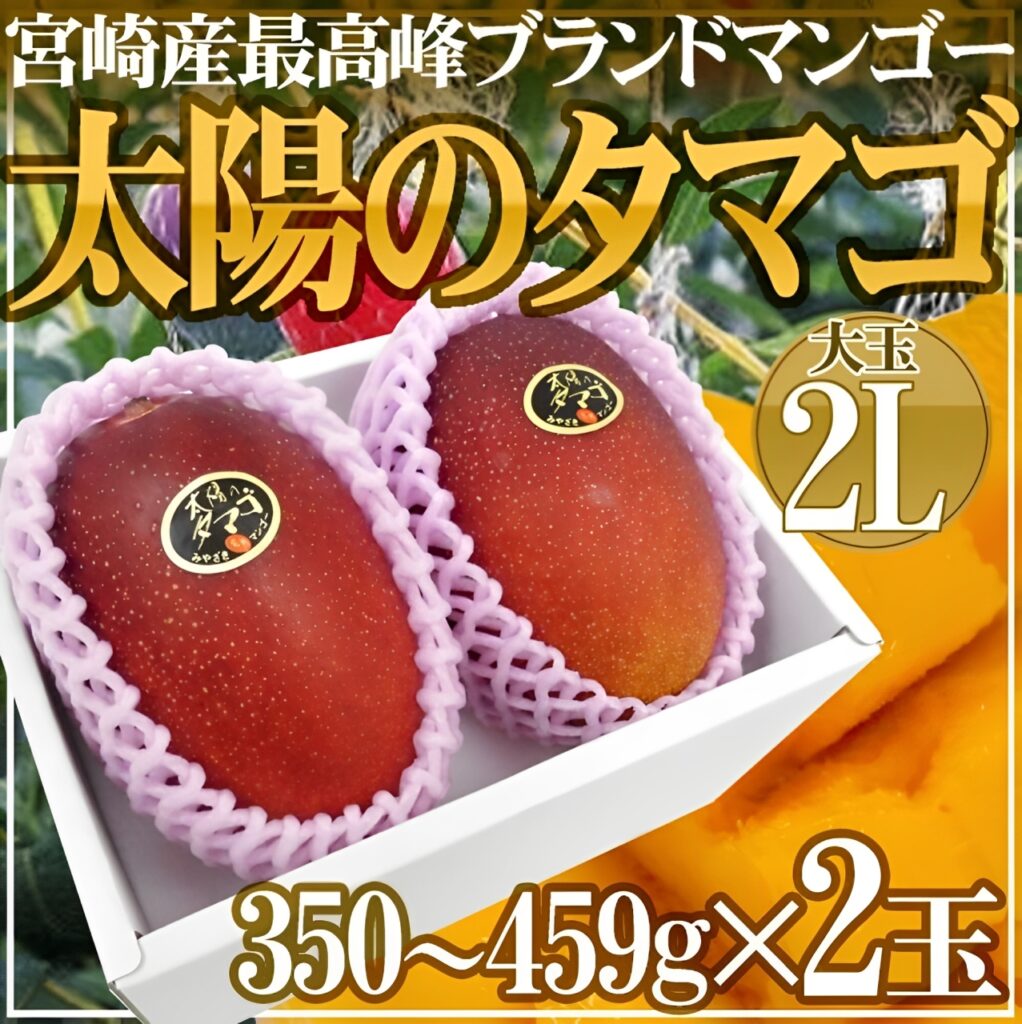 ふるさと納税でお得に購入