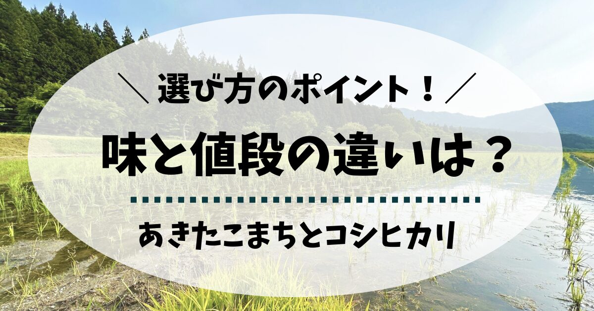 あきたこまちとコシヒカリの違いは？味・値段・人気をわかりやすく解説