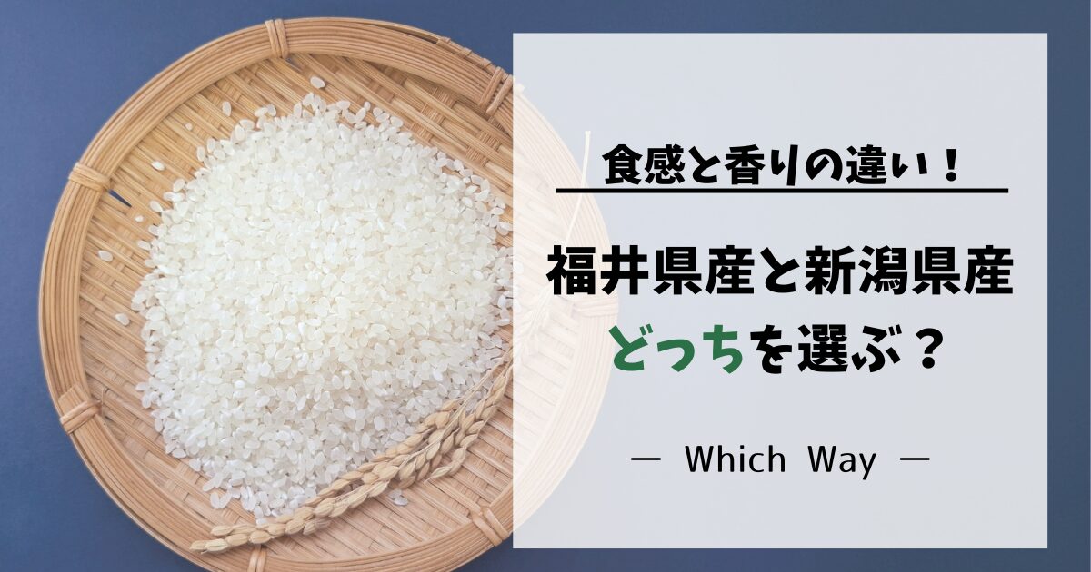 コシヒカリで福井と新潟どっちを選ぶ？食感と香りの違いを解説