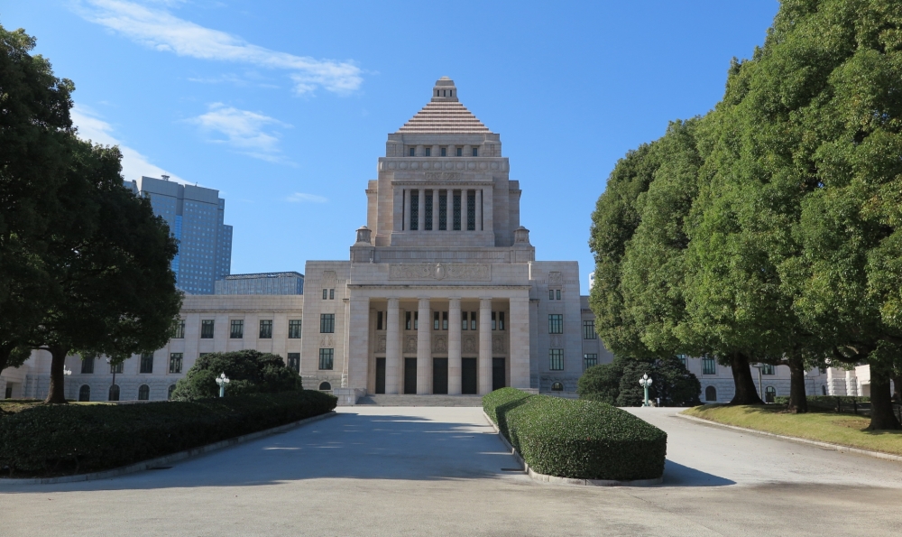 れいわ新選組の政策をわかりやすく解説!主要政策と目指す社会