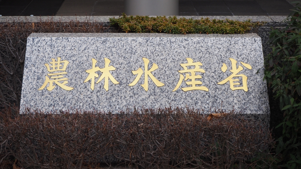 備蓄米を出さない理由は何ですか？政府の事情